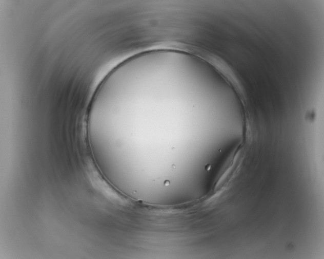 X0000113091292200909182104