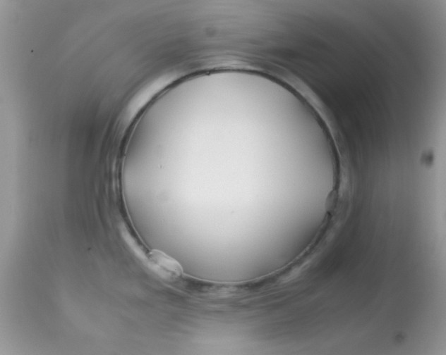 X0000113091293200909182104