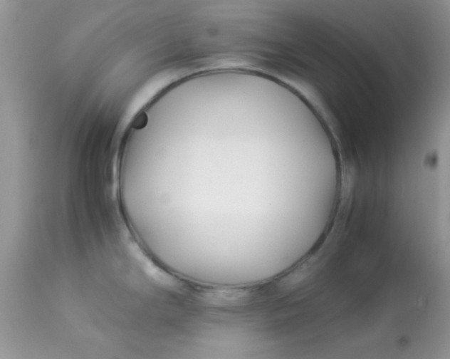 X0000113091294200909182104