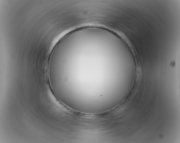 X0000113091295200909182104
