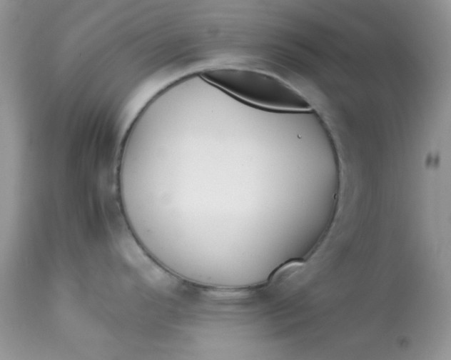 X0000113091296200909182104