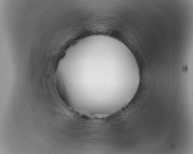 X0000113091297200909182104