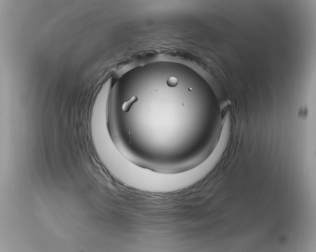 X0000113091298200909182104