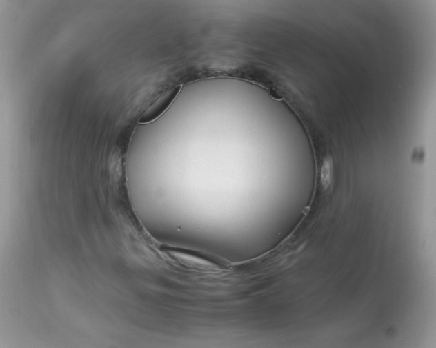 X0000113091299200909182104