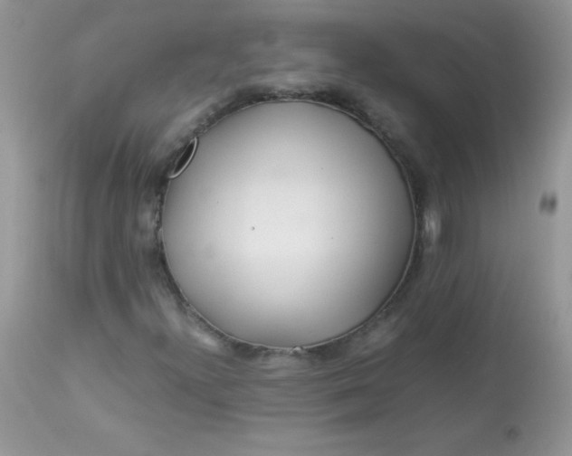 X0000113091300200909182104