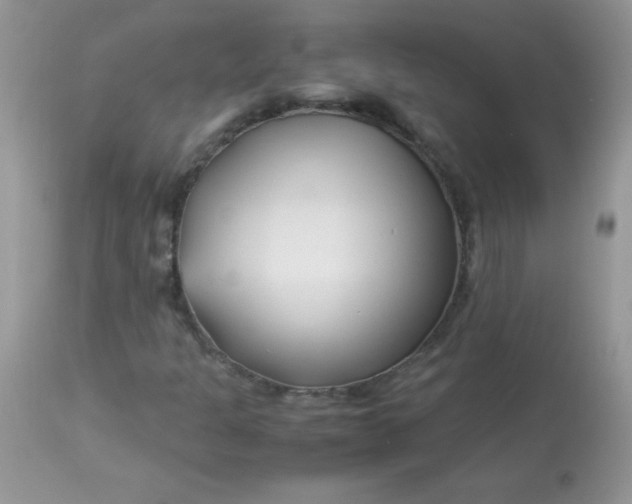 X0000113091301200909182104