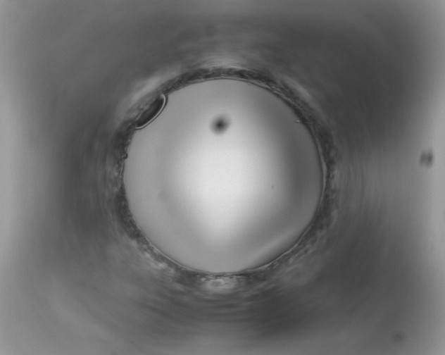 X0000113091303200909182104