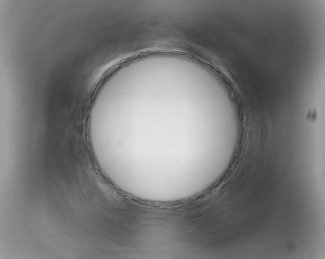 X0000113091304200909182104