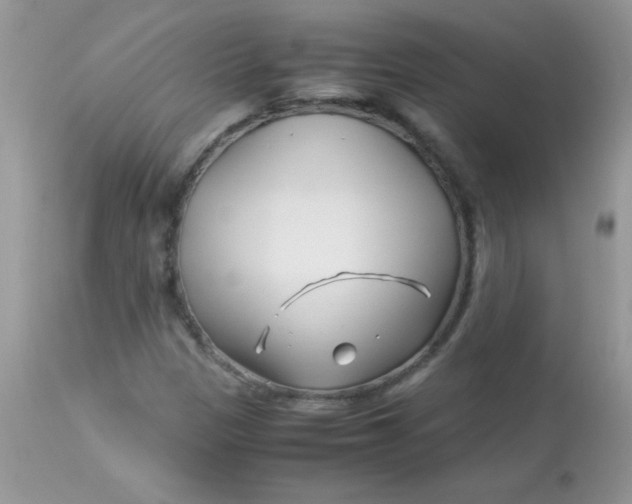 X0000113091305200909182104
