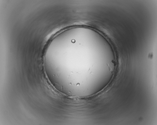 X0000113091308200909182104