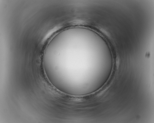 X0000113091309200909182104