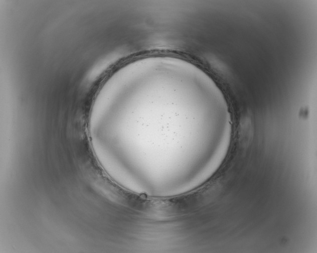 X0000113091310200909182104