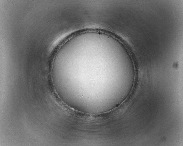 X0000113091311200909182104