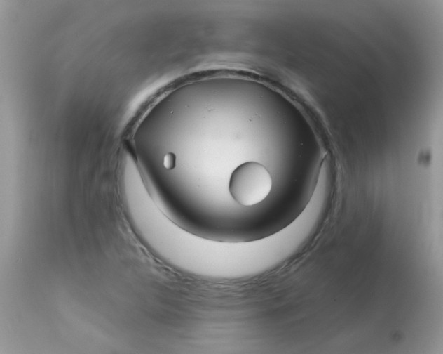 X0000113091312200909182104