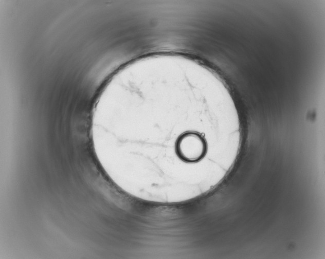 X0000113091314200909182104