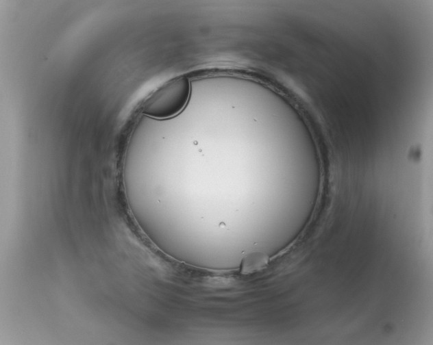X0000113091315200909182104