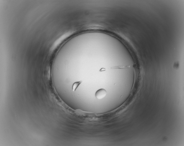 X0000113091317200909182104