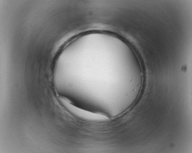 X0000113091318200909182104