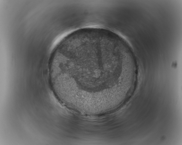 X0000113091319200909182104