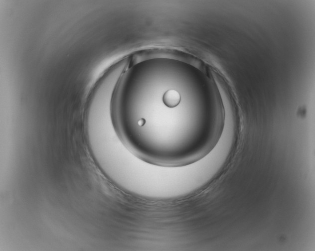 X0000113091320200909182104