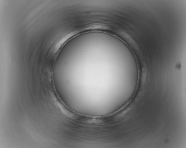 X0000113091321200909182104