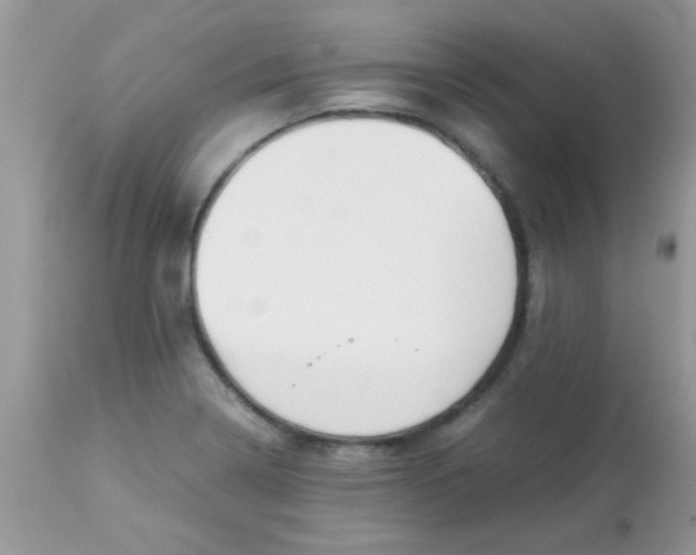 X0000113091322200909182104