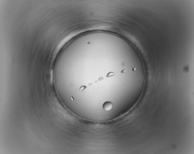 X0000113091324200909182104