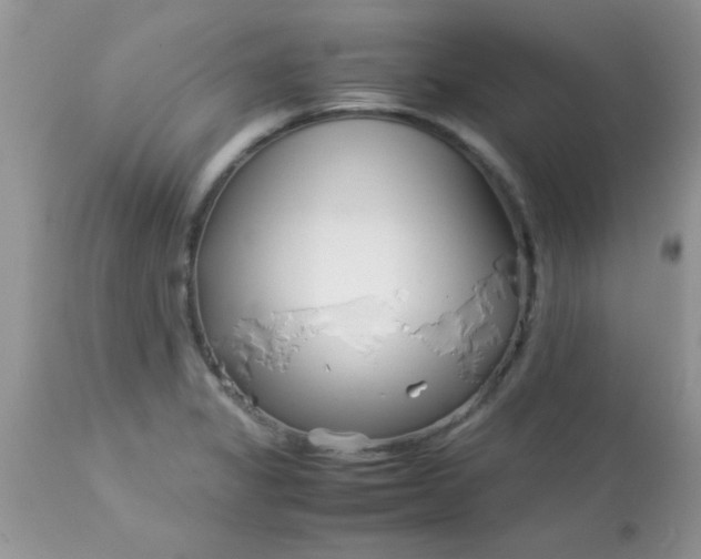 X0000113091325200909182104