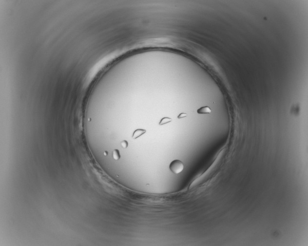 X0000113091328200909182104
