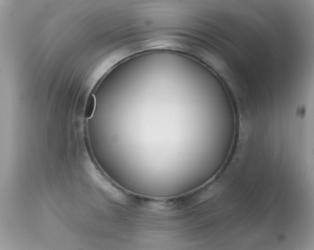 X0000113091330200909182104