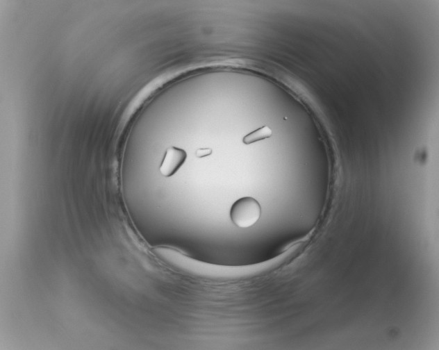 X0000113091332200909182104