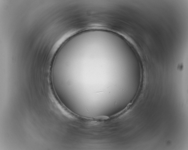 X0000113091333200909182104