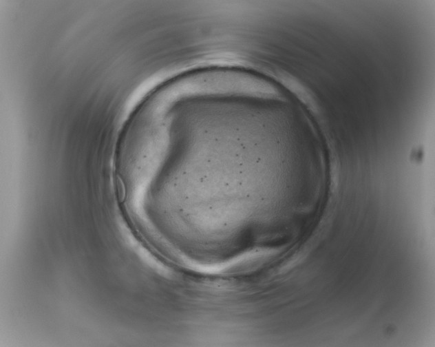 X0000113091334200909182104