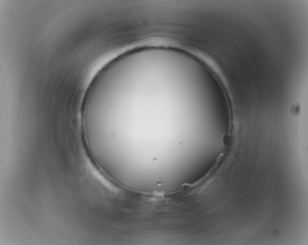 X0000113091335200909182104