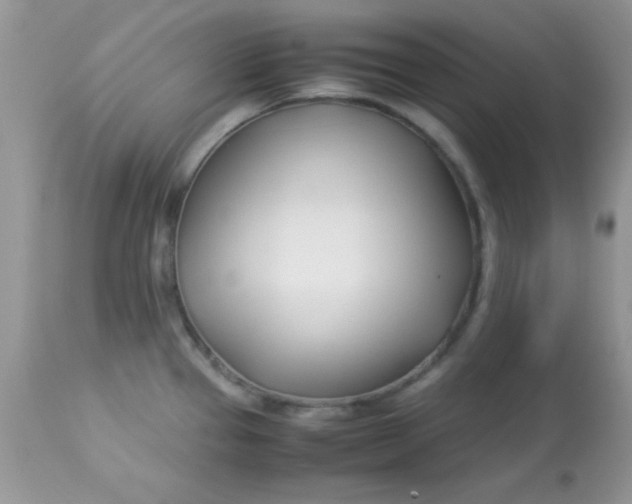 X0000113091337200909182104