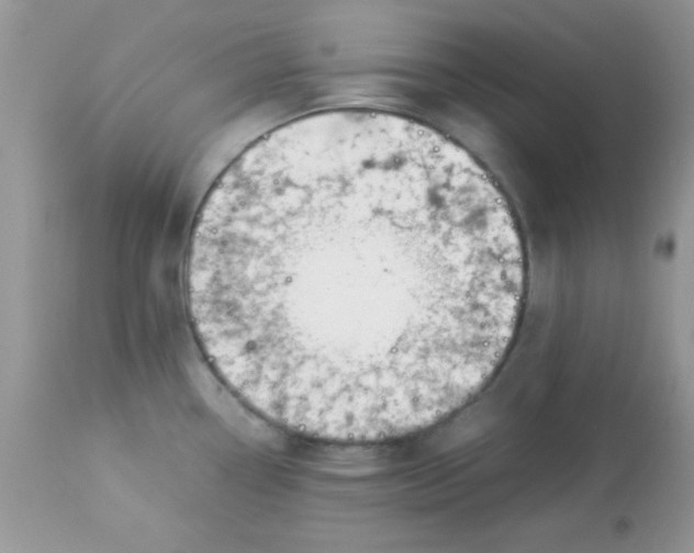 X0000113091338200909182104