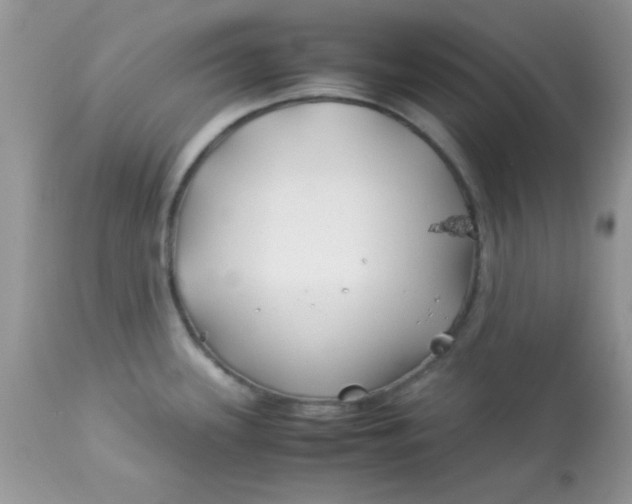 X0000113091339200909182104
