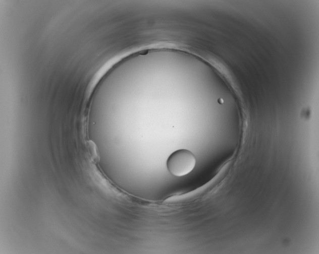 X0000113091340200909182104