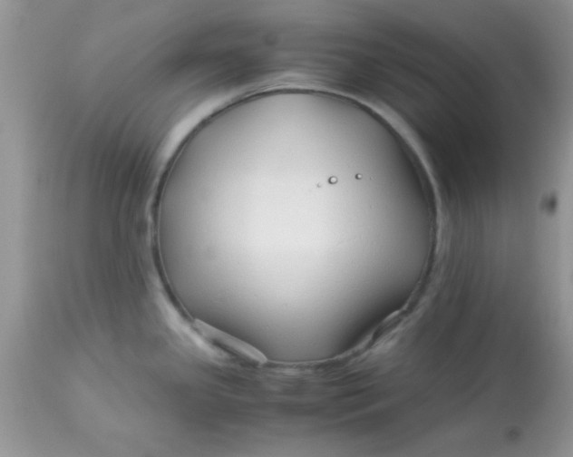 X0000113091341200909182104