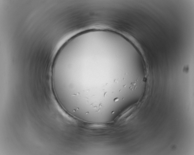 X0000113091343200909182104