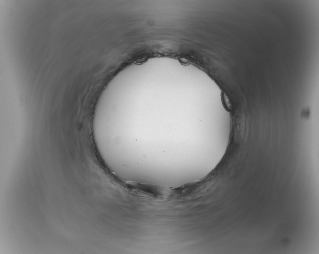X0000113091345200909182104