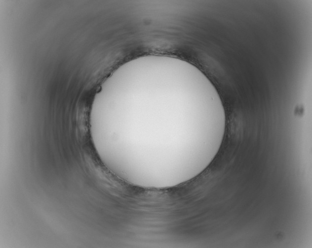 X0000113091346200909182104