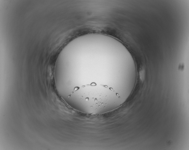X0000113091347200909182104