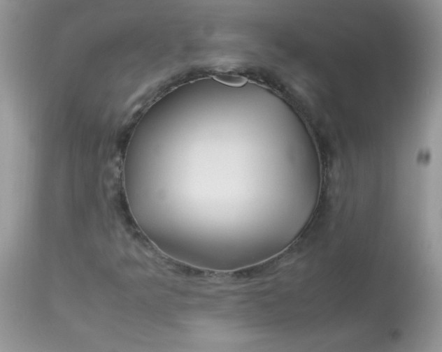 X0000113091349200909182104