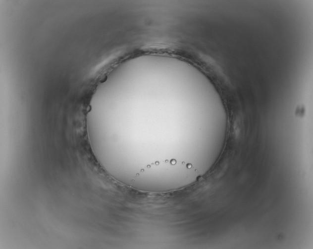 X0000113091350200909182104