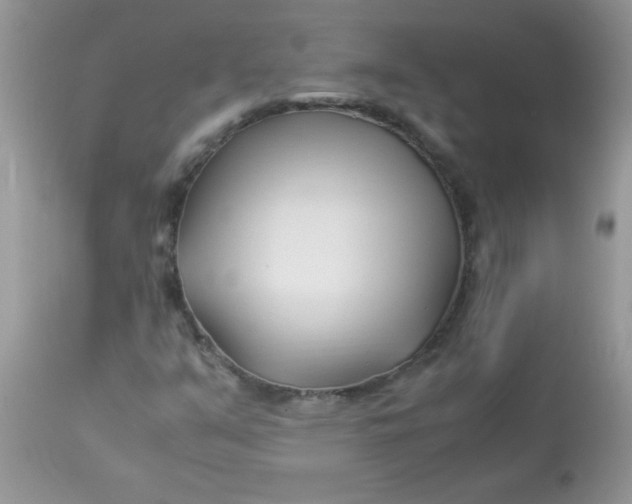 X0000113091351200909182103