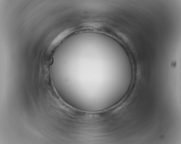 X0000113091354200909182103