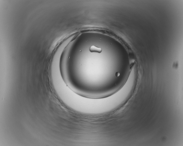 X0000113091357200909182103