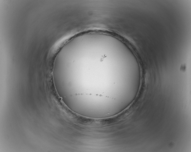 X0000113091359200909182103