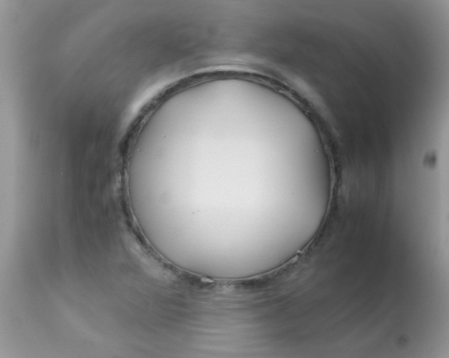X0000113091360200909182103